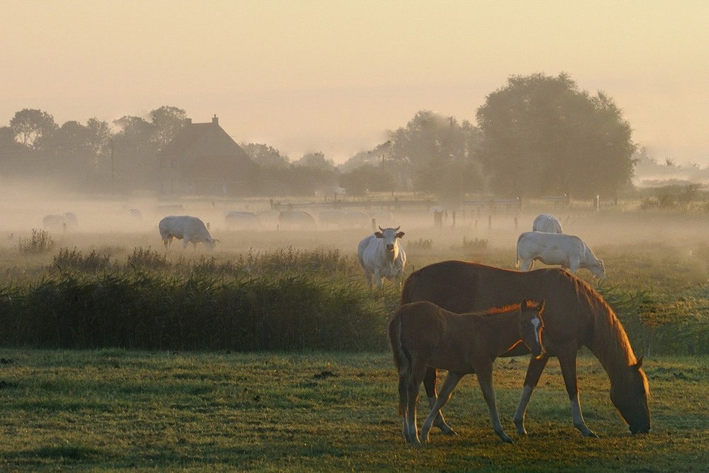 Фотографія Пейзаж / Johny Hemelsoen / photographers.ua