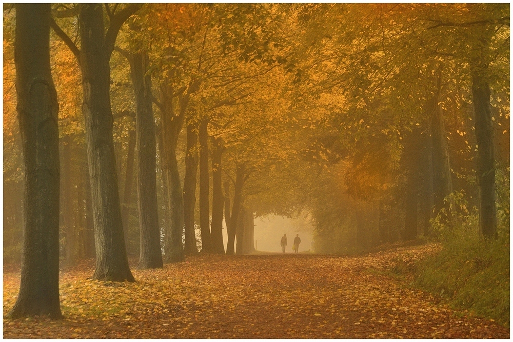 Фотографія Пейзаж / Johny Hemelsoen / photographers.ua