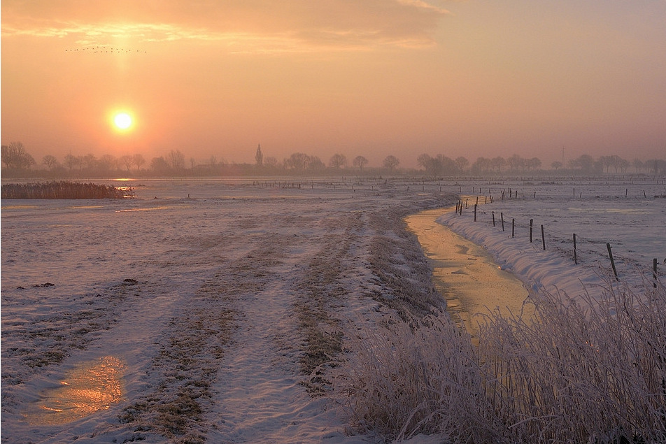 Фотографія Winter in Belgium. / Johny Hemelsoen / photographers.ua