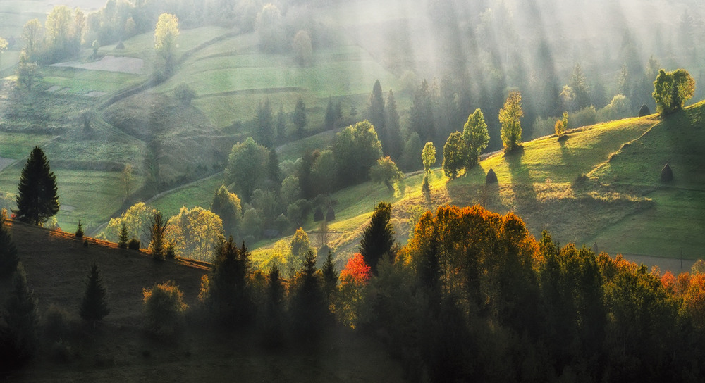 Фотографія золоте світло / Сергій Нестерчук / photographers.ua