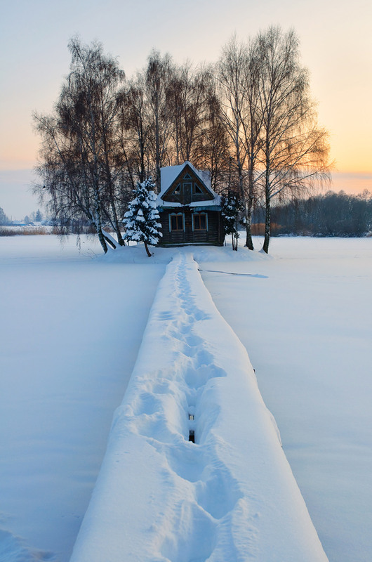 Фотографія в гости к зиме / Сергій Нестерчук / photographers.ua