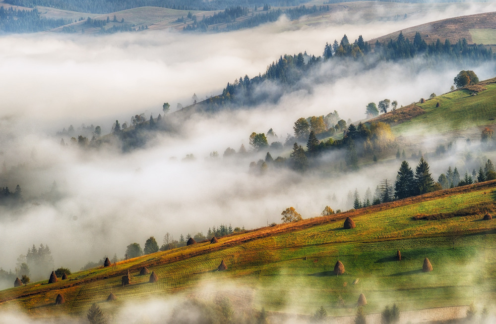 Фотографія Карпатські тумани / Сергій Нестерчук / photographers.ua