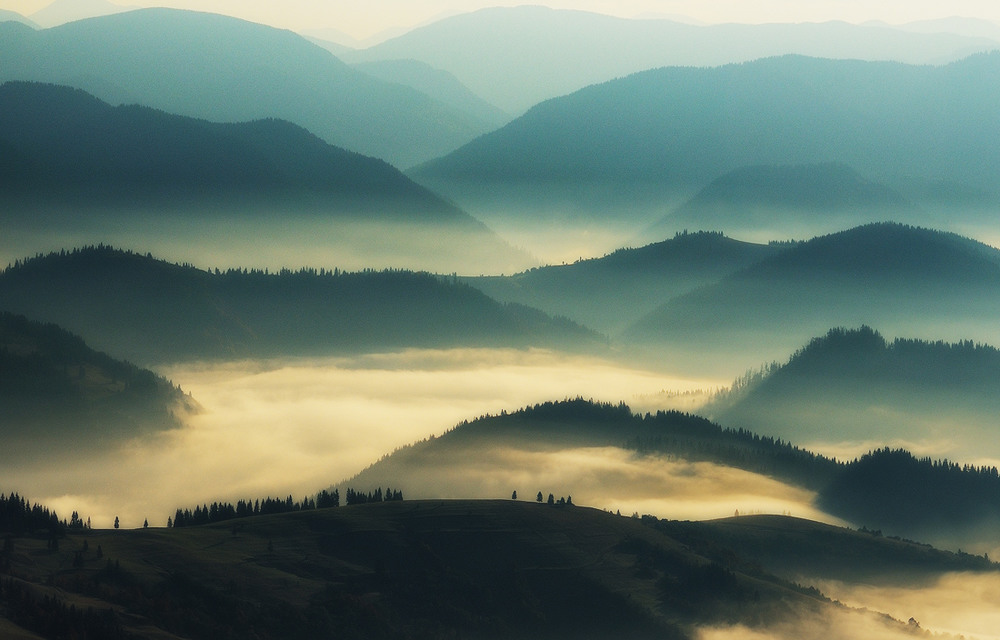 Фотографія туманні ріки / Сергій Нестерчук / photographers.ua