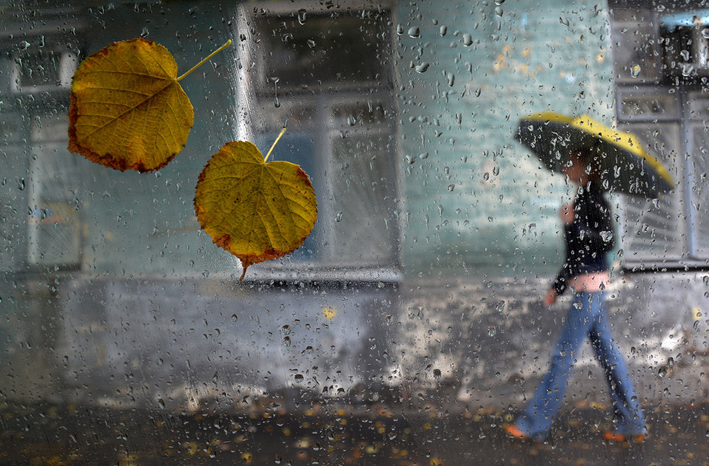 Фотографія плачет осень / Дмитрий Колисниченко / photographers.ua