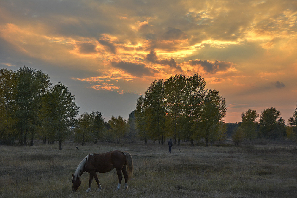 Фотографія Мы вдвоем с конем... / Дмитрий Колисниченко / photographers.ua