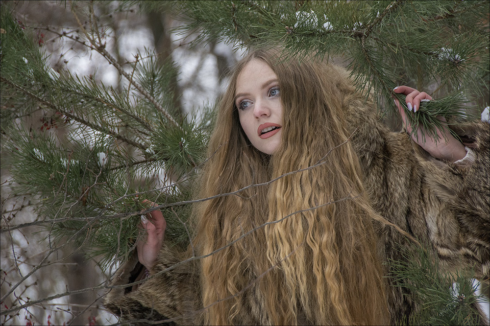 Фотографія Милая девушка в волчьей шкуре... не встречали? / Дмитрий Колисниченко / photographers.ua