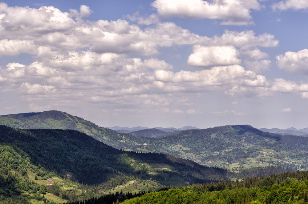Фотографія У горах Карпатах хотів би я жить... 02 / Ігор Кульчицький / photographers.ua