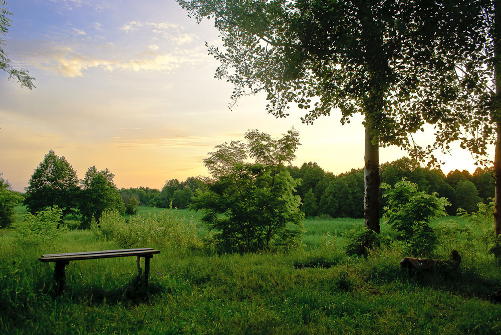 Фотографія *** / Роман Романович / photographers.ua