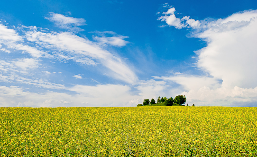Фотографія *** / Роман Романович / photographers.ua