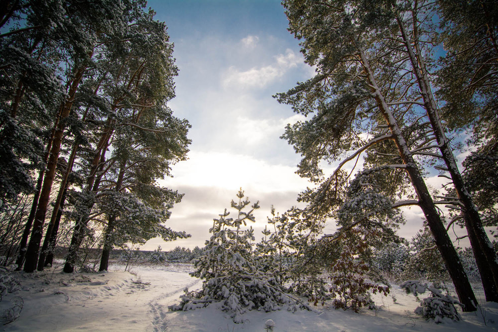 Фотографія *** / Роман Романович / photographers.ua
