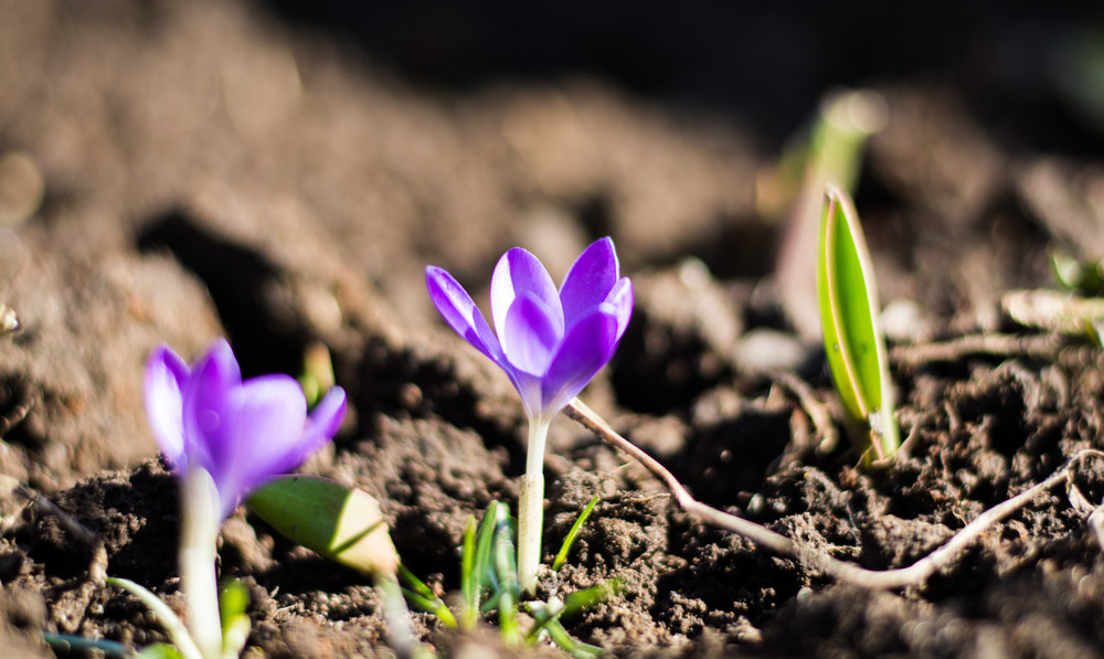 Фотографія Разное / Роман Романович / photographers.ua