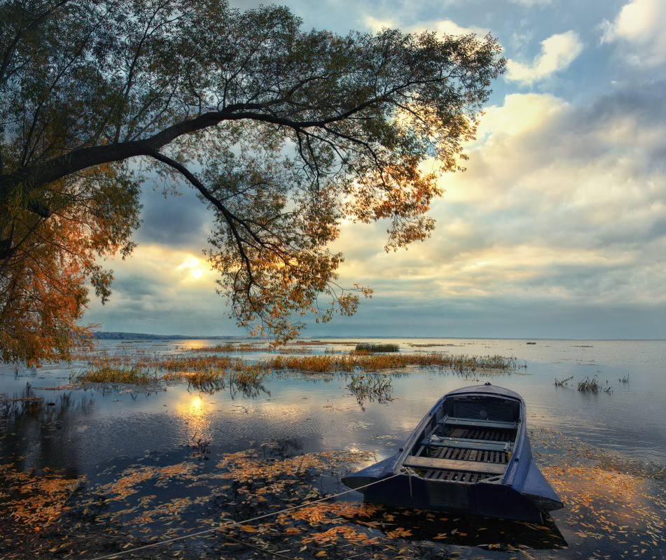 Фотографія Осень на Плещеевом озере / Евгений Жмак / photographers.ua