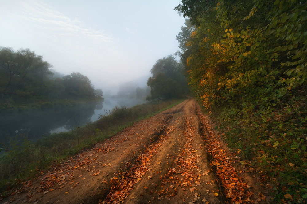 Фотографія Осень уже близко / Евгений Жмак / photographers.ua
