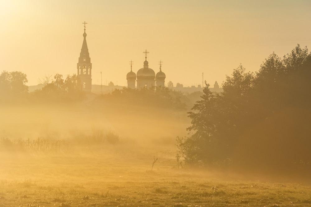 Фотографія Золотое утро, туманное / Евгений Жмак / photographers.ua