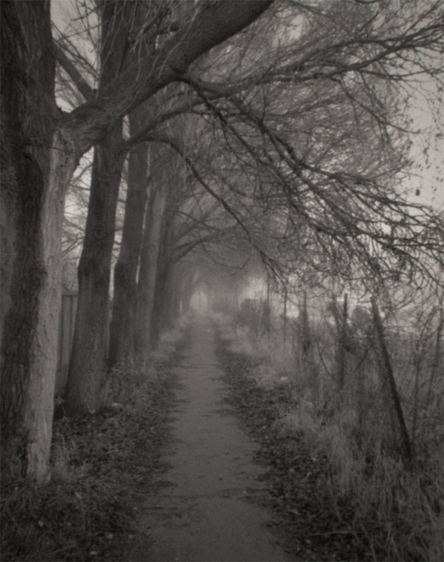 Фотографія Пейзаж / Volodymyr Naida / photographers.ua