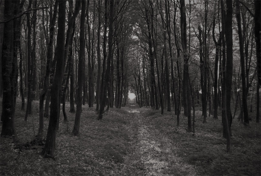 Фотографія Разное / Volodymyr Naida / photographers.ua