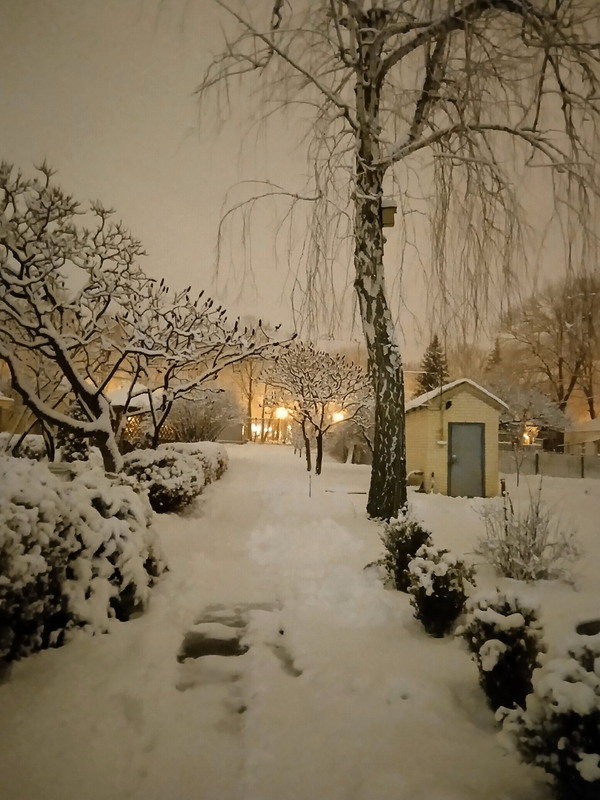 Фотографія Зимовий вечір в районі парку / Тат Мандри / photographers.ua