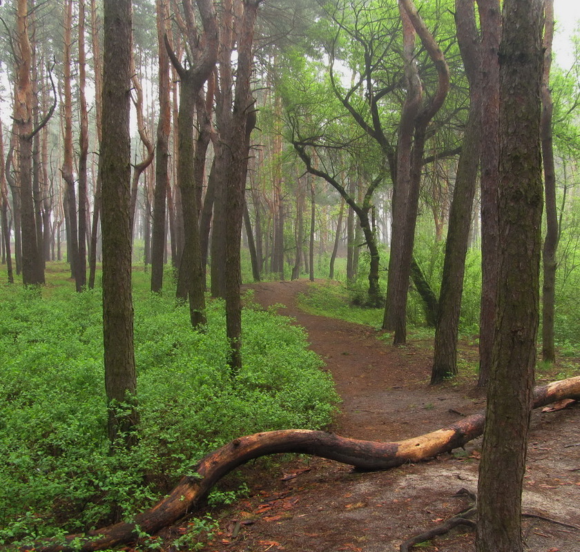 Фотографія Пейзаж / Тат Мандри / photographers.ua