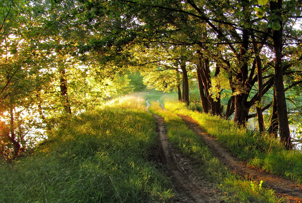 Фотографія Пейзаж / Тат Мандри / photographers.ua