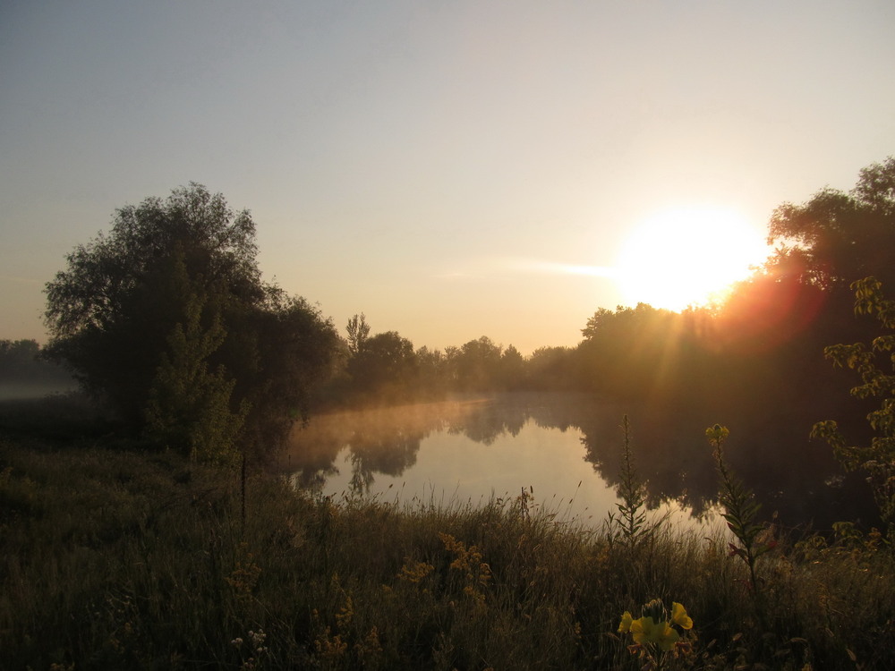 Фотографія Донецькі світанки / Тат Мандри / photographers.ua