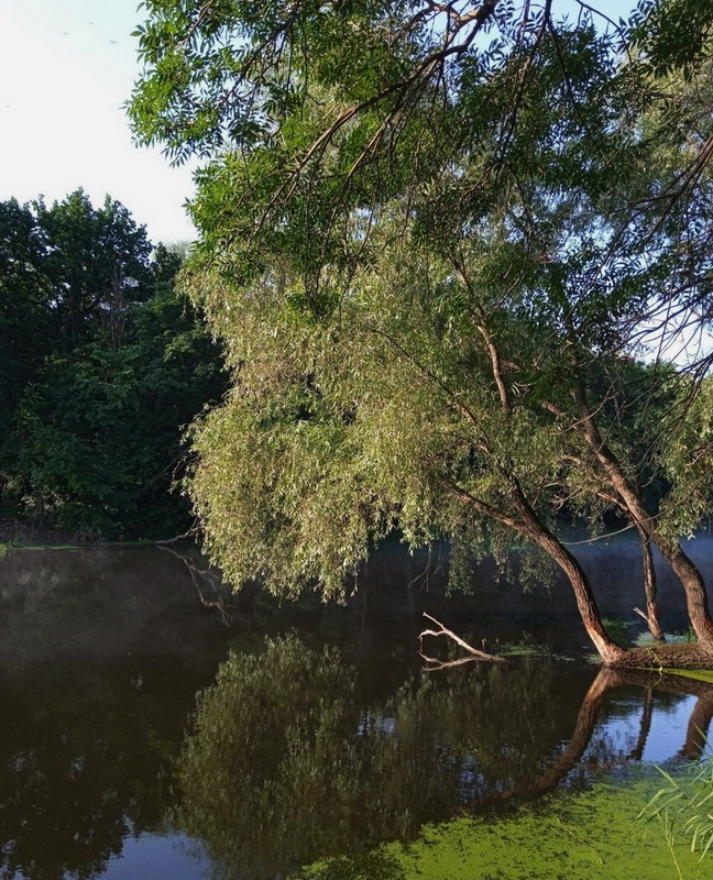 Фотографія Пейзаж / Тат Мандри / photographers.ua