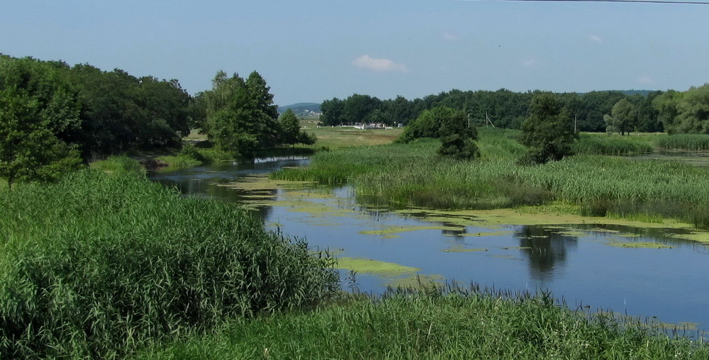 Фотографія Тиха річка Мерла / Тат Мандри / photographers.ua