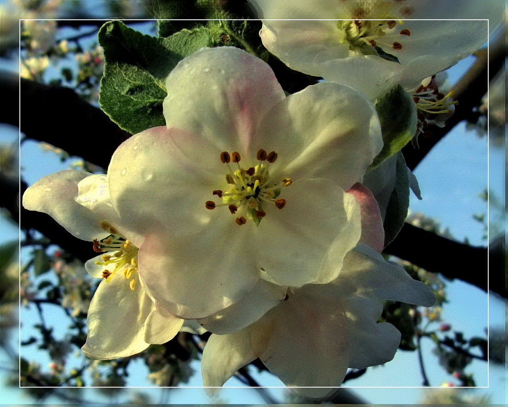 Фотографія Разное / Тат Мандри / photographers.ua