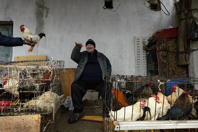 Фотографія Птичий рынок / Aleksey Tudakov / photographers.ua