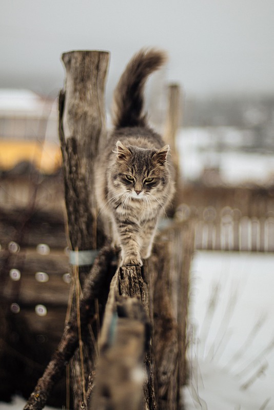 Фотографія Зима в Крыму / Даниил / photographers.ua