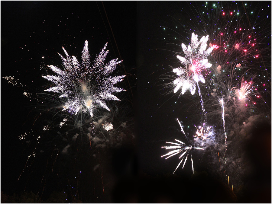 Фотографія ЦВЕТЫ  бывают и такие / Игорь Харченко / photographers.ua