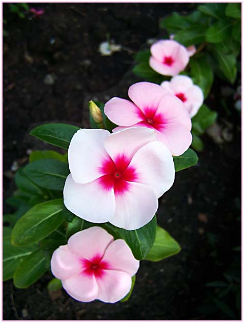 Фотографія +* / Игорь Харченко / photographers.ua