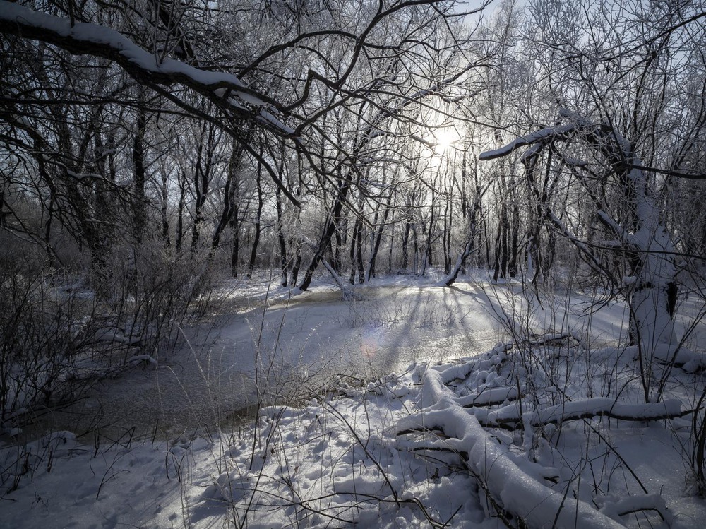 Фотографія Морозное утро / Павел Фивейский / photographers.ua