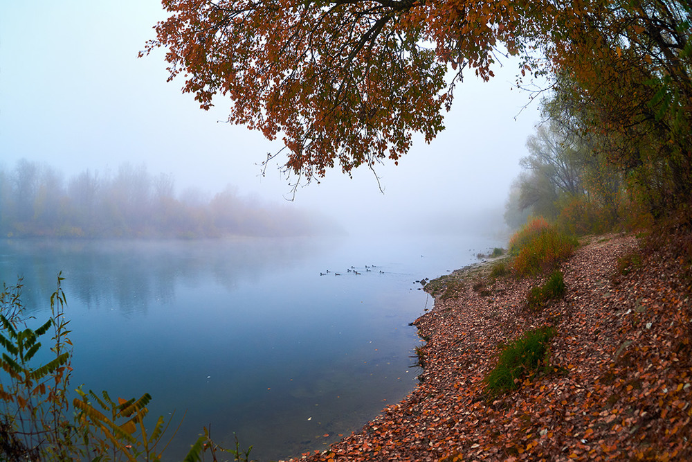 Фотографія Осенний сплин... / Andrii Kazun / photographers.ua