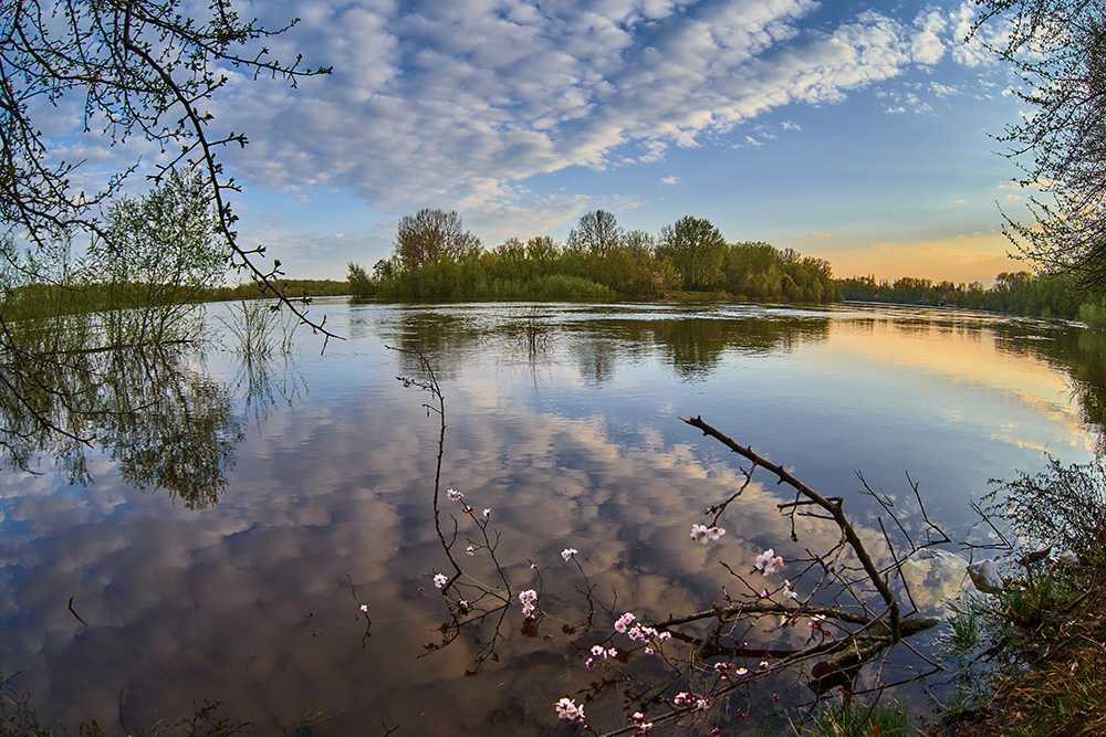 Фотографія Чарівний вечір на Десні / Andrii Kazun / photographers.ua