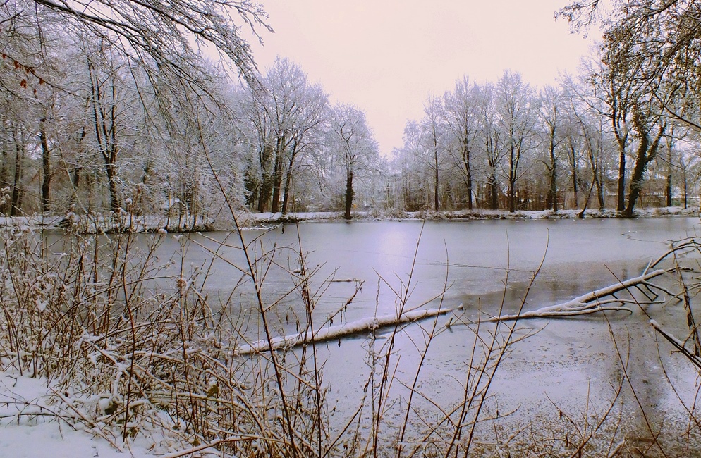 Фотографія напоминание о прошлой зиме... / phia / photographers.ua