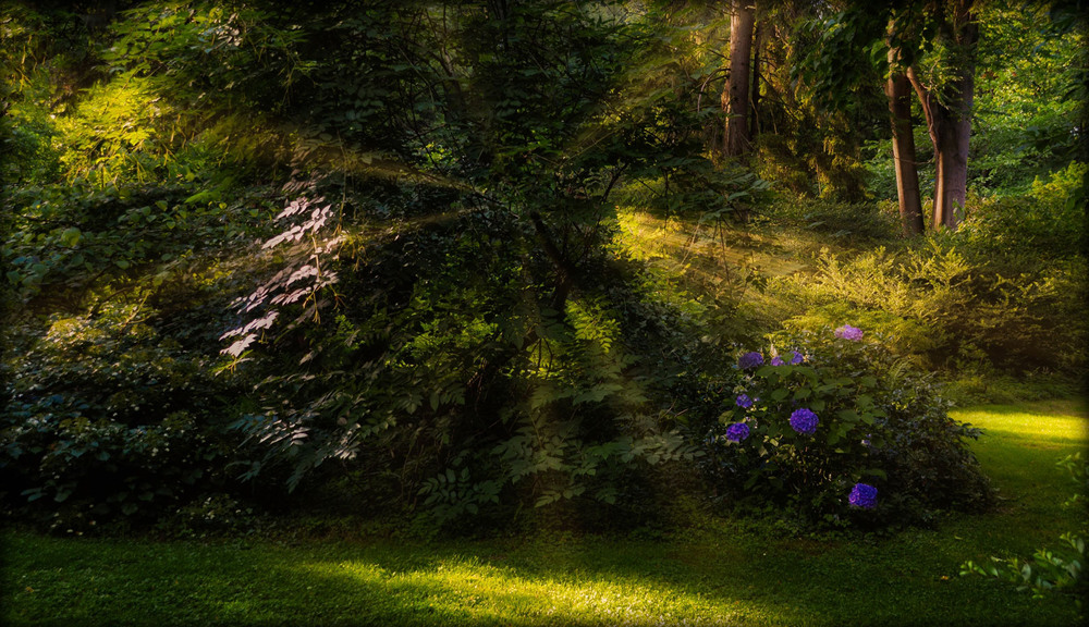 Фотографія В лесу Волшебника из страны Оц ...или сны Дороти... / phia / photographers.ua
