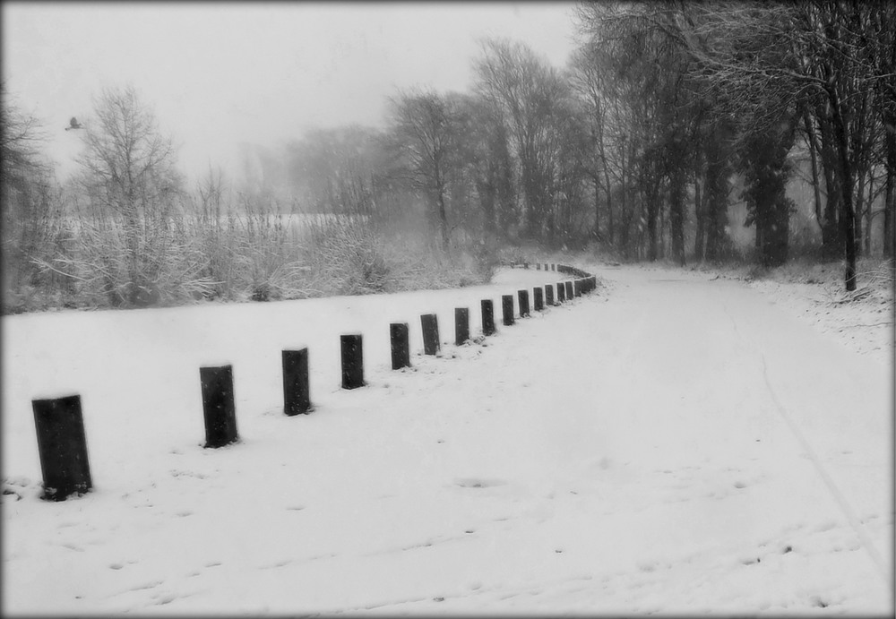 Фотографія кино про зиму... / phia / photographers.ua