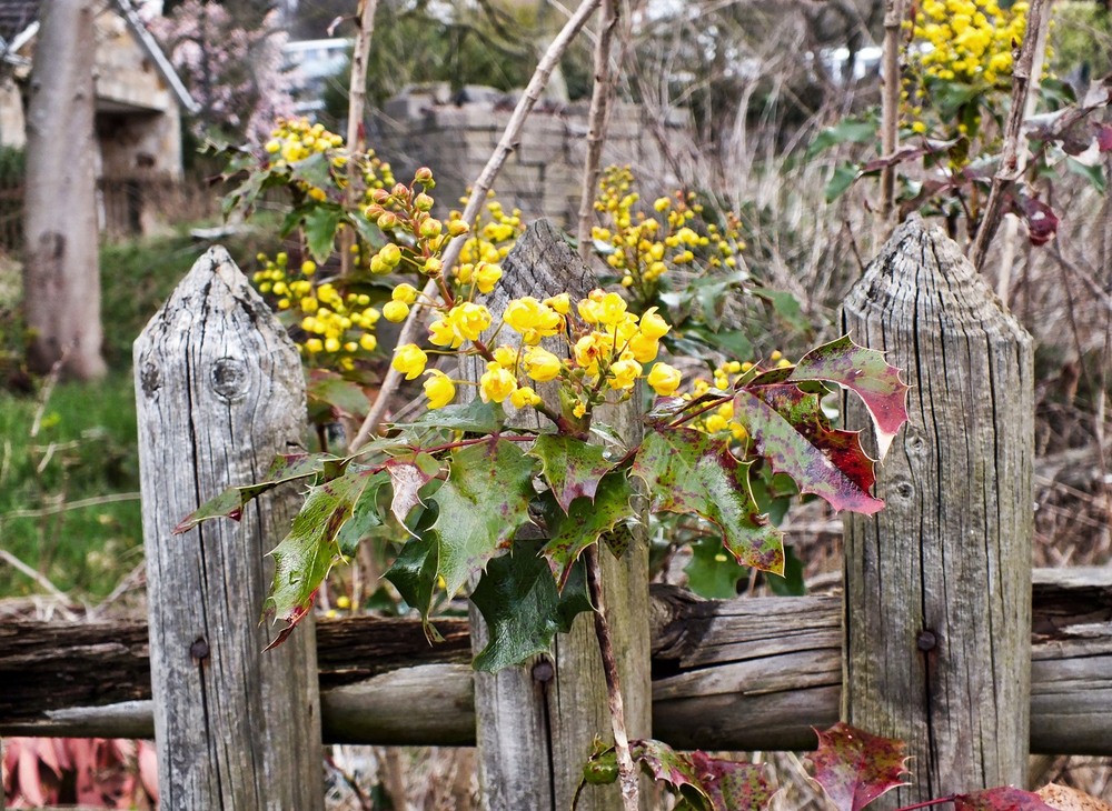 Фотографія Abandoned place / phia / photographers.ua