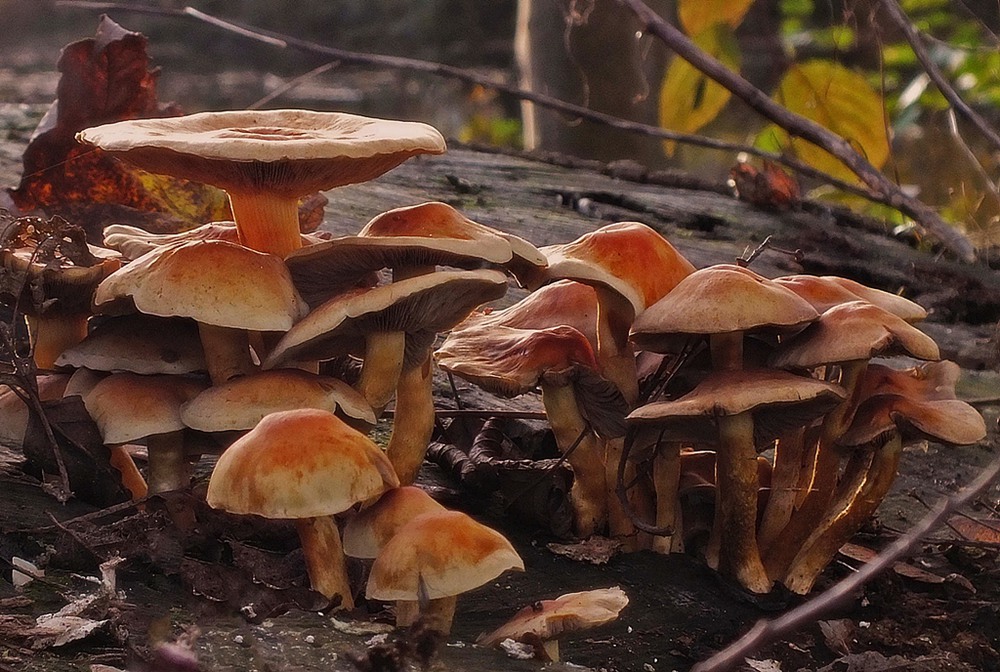 Фотографія в тесноте, да не в обиде... / phia / photographers.ua