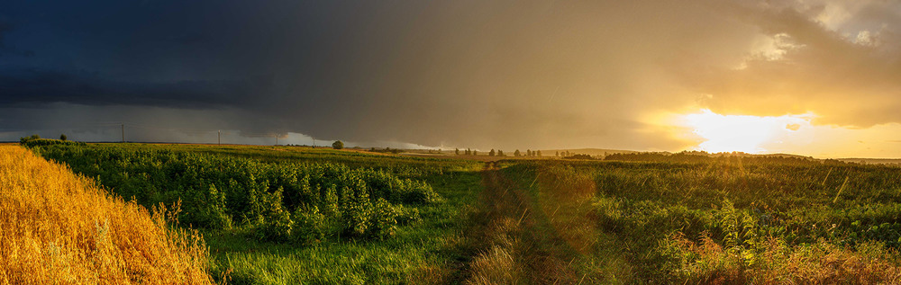 Фотографія Боротьба / Viktor Smoliak / photographers.ua