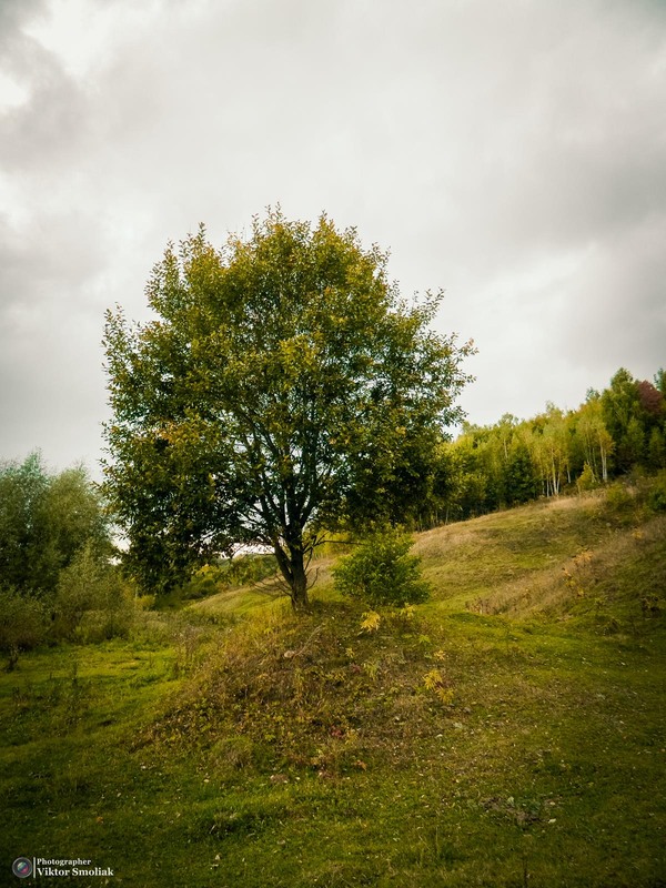 Фотографія Разное / Viktor Smoliak / photographers.ua