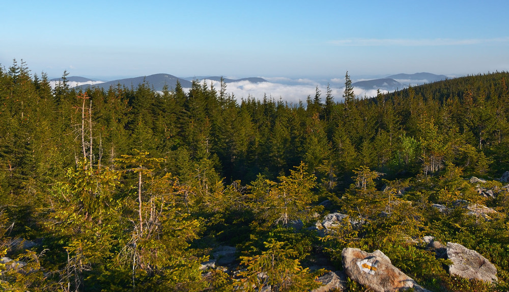 Фотографія Пейзаж / Вячеслав :) / photographers.ua