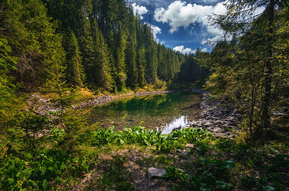 Фотографія Пейзаж / Вячеслав :) / photographers.ua