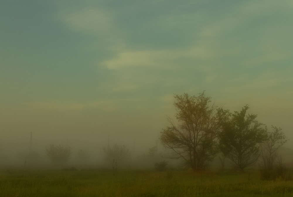Фотографія "Окутаны туманом" / Загороднюк Юрий / photographers.ua