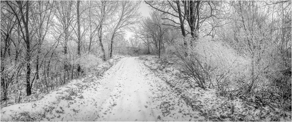 Фотографія Первый снег... / Загороднюк Юрий / photographers.ua