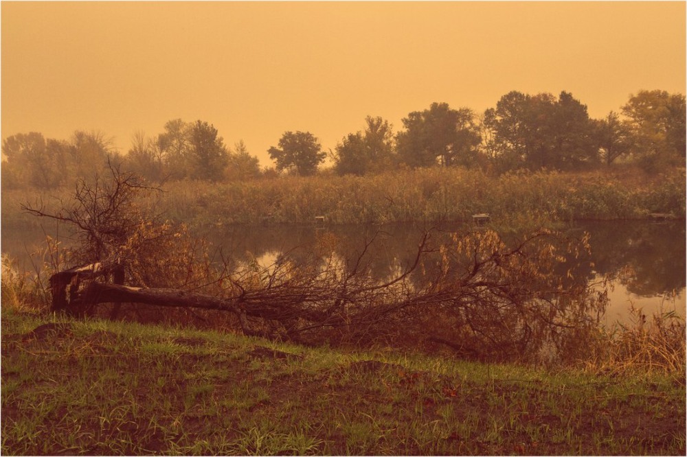Фотографія Пейзаж с деревом... / Загороднюк Юрий / photographers.ua