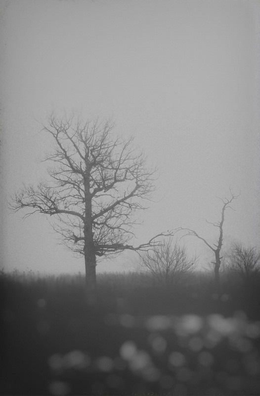 Фотографія Одинокие души блуждают в тумане... / Загороднюк Юрий / photographers.ua