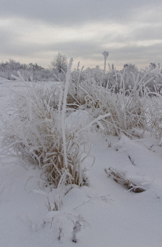 Фотографія Вспоминая зиму... / Загороднюк Юрий / photographers.ua