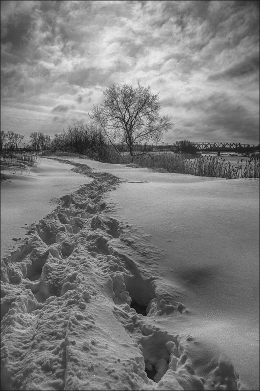 Фотографія Следы на снегу... / Загороднюк Юрий / photographers.ua