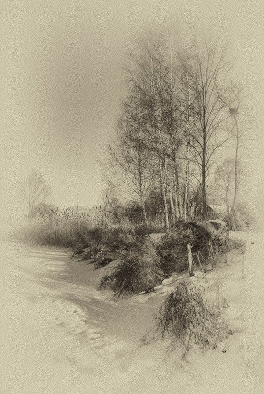 Фотографія Красота зимней природы... / Загороднюк Юрий / photographers.ua